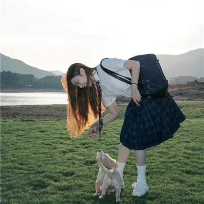 春满兰宫